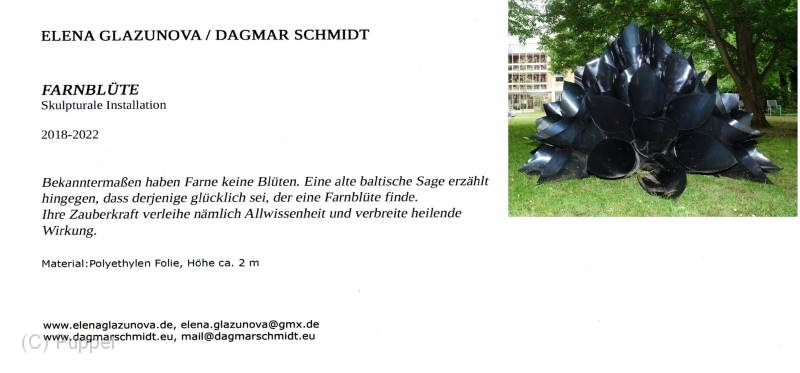 c info Farnbluete.jpg
